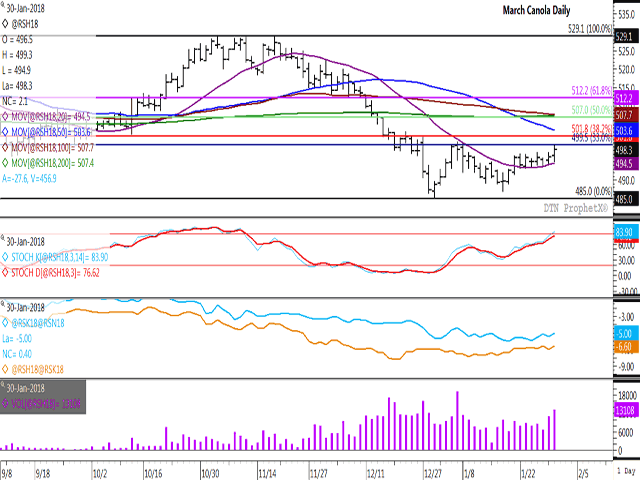 March canola closed higher for the second straight day at $498.30/metric ton, reaching its highest level traded in 16 days. The trend continues sideways on the weekly chart (not shown), with price failing to test the January highs despite supportive buying noted on the commercial and noncommercial side of the market. (Source: DTN ProphetX)