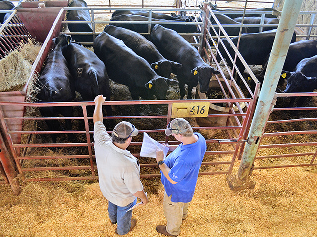 Dr. Ken McMillan relies on Dr. Jim Floyd&#039;s "Seven Quality Checks" to make good culling decisions and NCBA&#039;s little Redbook for recordkeeping. (Progressive Farmer photo by Victoria G. Myers)