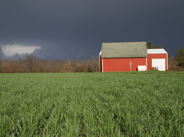 Storm clouds in the sky give us a visual detection of rain, but turns out it also has a smell. (DTN photo by Pamela Smith)