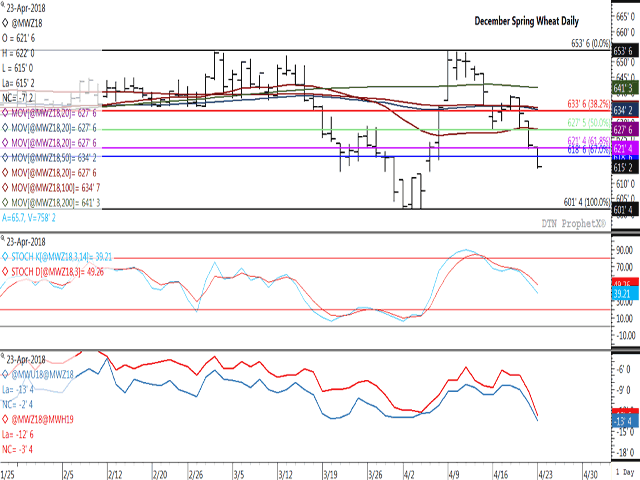 December spring wheat has retraced more than 67% of the April rally after Monday's third consecutive loss of 7 1/4 cents. The next potential level of support is seen at $6.13/bushel, the lower end of the gap formed on April 5. The middle study shows short-term price on a continued downtrend, while the lower-study shows a growing bearish response in the part of commercial traders, with the Sept/Dec and Dec/March spreads weakening. (DTN graphic by ProphetX)