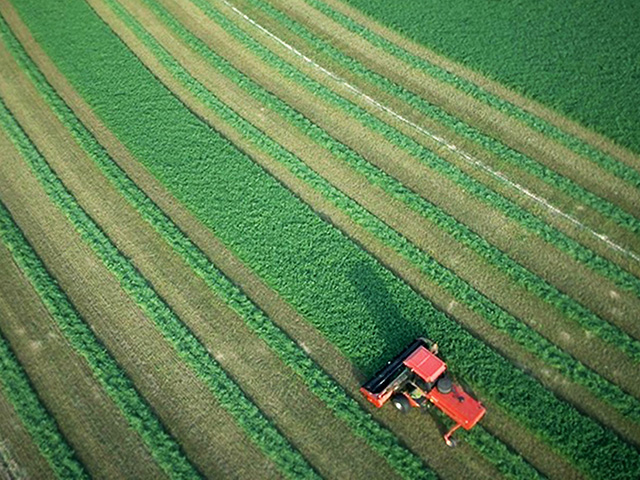 Experts say long term debt to bolster future equity positions may be a good strategy for those in strong financial positions. (Progressive Farmer photo Courtesy of DuPont Pioneer)