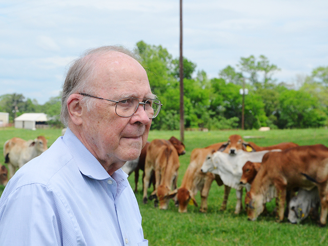 Ron Randel, Texas A&amp;M AgriLife research physiologist, is studying ways a cow&#039;s prenatal stress can effect gene expression in her calf. (Photo courtesy Adam Russell, Texas A&amp;M University)