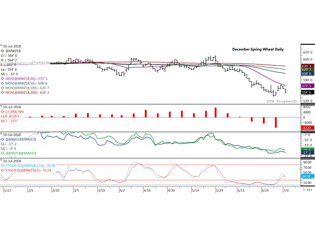 The December daily spring wheat chart shows losses totaling 20 1/4 cents over the first two days this week, filling a gap formed in July 5 while heading for a potential test of the contract low of $5.43 per bushel. The red histogram bars on the first study show noncommercial traders holding the largest net-short position seen in over 13 years. The second study shows the Sept/Dec (blue line) and Dec/March (green line) spreads weakening this week, a sign of commercial selling. (DTN ProphetX chart)