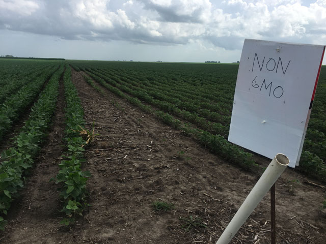 The issue of dicamba has become a sensitive topic with many voices adding to the discussion. (DTN photo by Pamela Smith)