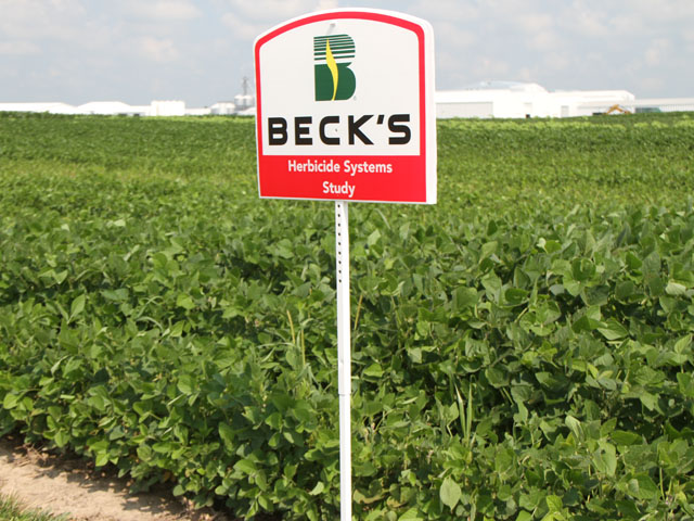 Beck&#039;s Hybrids is among the independent seed companies in the U.S. that has expressed concerns about off-target dicamba movement. CEO Sonny Beck has asked EPA to restrict the herbicide&#039;s use to pre-plant only. (DTN photo by Pamela Smith)