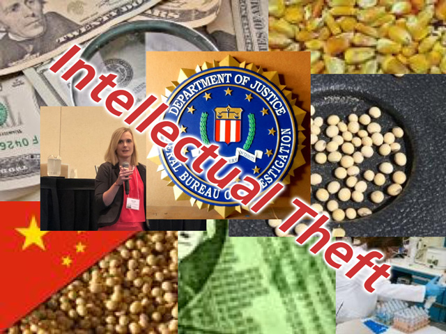 As FBI Agent Jennie Nichols, pictured, explained to more than 100 attorneys at a technology and law conference last week, intellectual theft is a growing problem in the U.S. and in the agricultural sector. Companies need to be more diligent about the steps they take to protect their trade secrets, and documenting those procedures, to support a case in court. (DTN graphic)