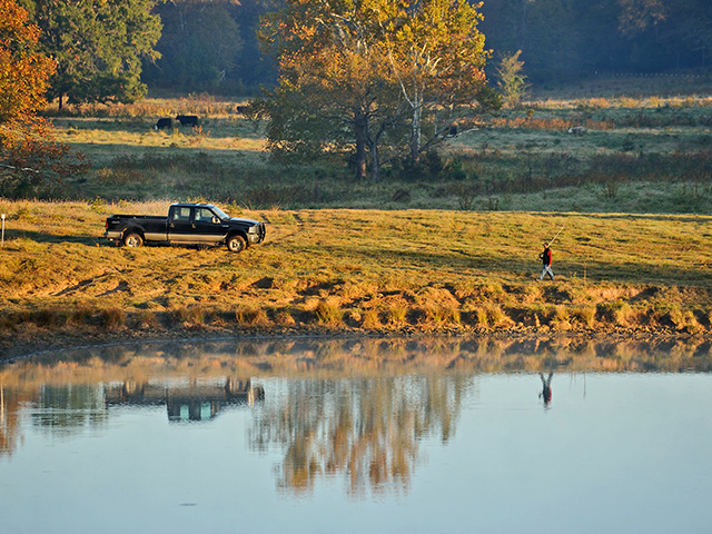 Cattle can destroy fish habitat, and create health issues for themselves at the same time.(Progressive Farmer photo by Jim Patrico)