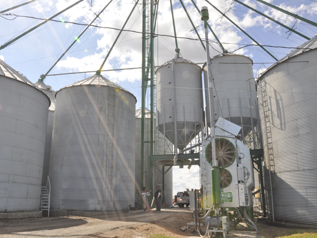 Storing grain on the farm can be financially beneficial, but requires safety precautions. (DTN file photo by Katie Micik)