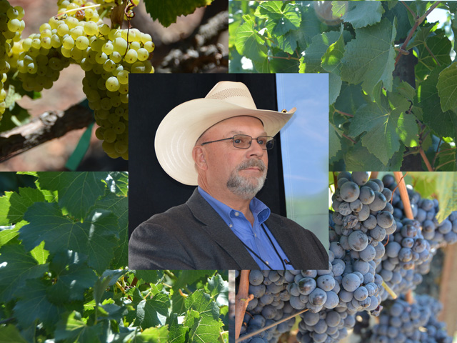 Oklahoma farmer and cattle producer Jimmy Emmons, vice president of the group No-till on the Plains, spoke at the "Scaling Up Climate Smart Agriculture" event in Sonoma, California, this week. (DTN photos by Chris Clayton)