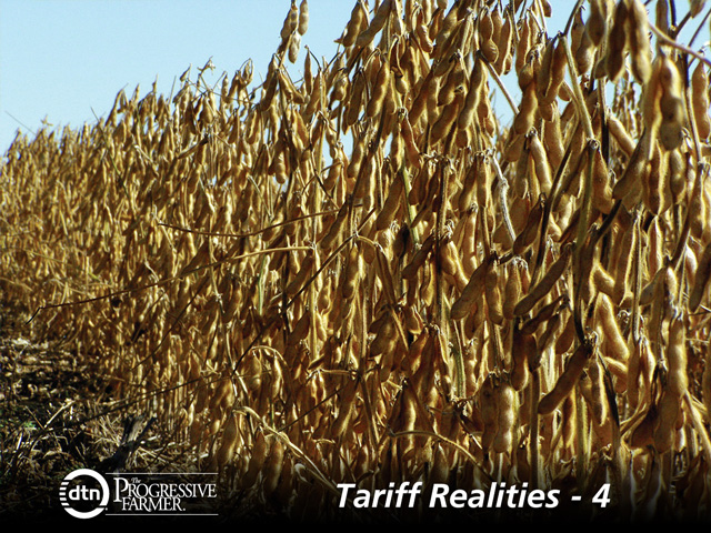 Soybean prices well below most farmers&#039; break-evens points means more bushels are destined for storage, and experts say farmers need to be proactive to make the most of potential marketing opportunities. (DTN file photo) 