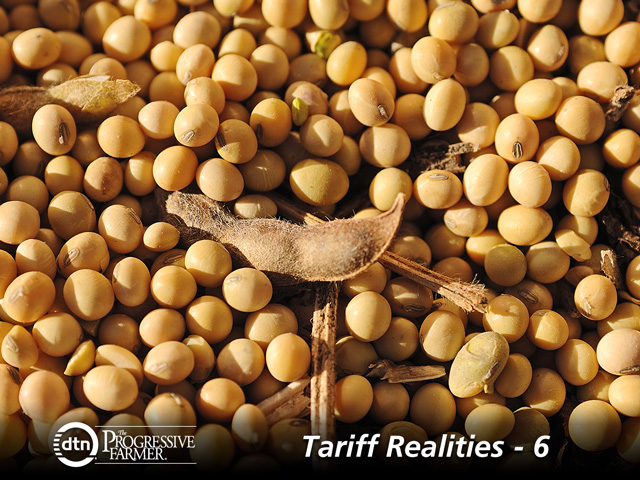 Some of the issues keeping cattlemen from feeding soybeans is the ability to store beans and the logistics of feeding it as a feed. (DTN/Progressive Farmer file photo)