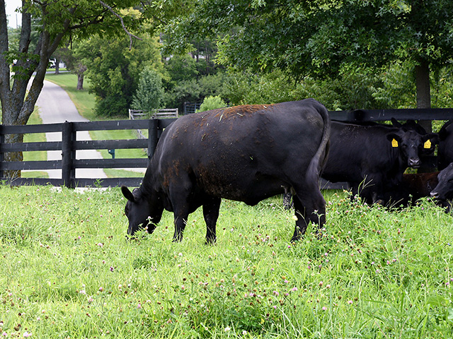 (Progressive Farmer photo by Becky Mills)
