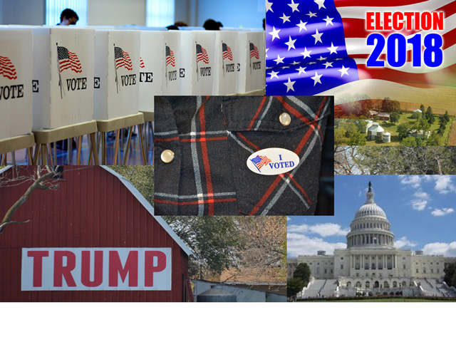 Everything was in play in these midterm elections with the House looking Tuesday night like it would change hands to Democrats while Republicans made gains in the Senate. (DTN photos)