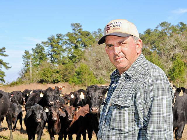 Lindy Sheppard makes decisions about creep feeding based on access to grazing and whether the dam was a first-calf heifer. (DTN/Progressive Farmer photo by Becky Mills)