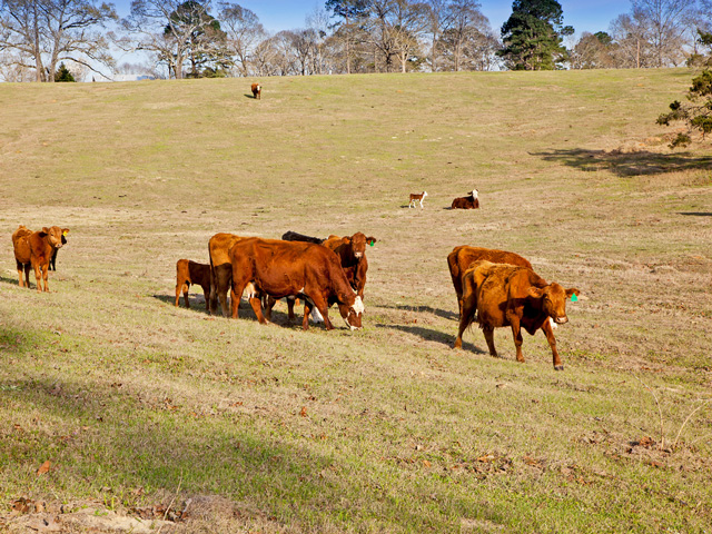 Cropland And Pasture Tell Two Different Stories