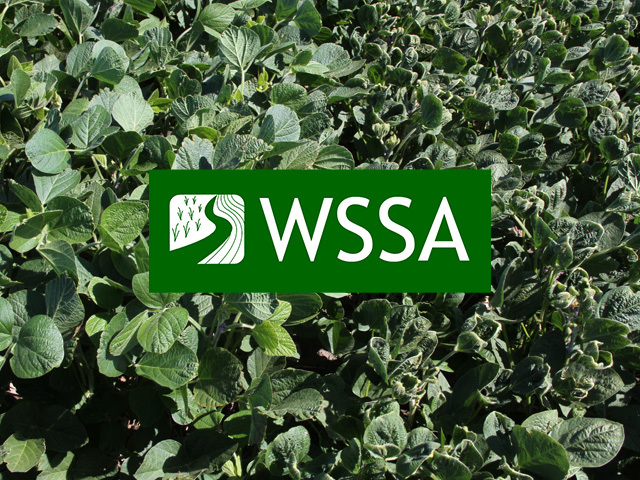 Scientists have identified key risk factors contributing to dicamba volatility and widespread off-target injury for the past two years. (DTN photo by Pamela Smith)