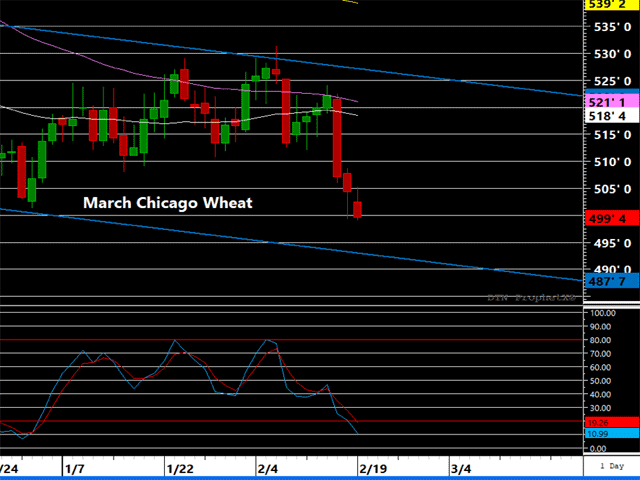The downtrend remains intact in Chicago wheat inside the larger declining trend channel. Stochastics are also in a steep downtrend, showing no signs a pending bullish divergence in momentum from price. (DTN ProphetX Chart)