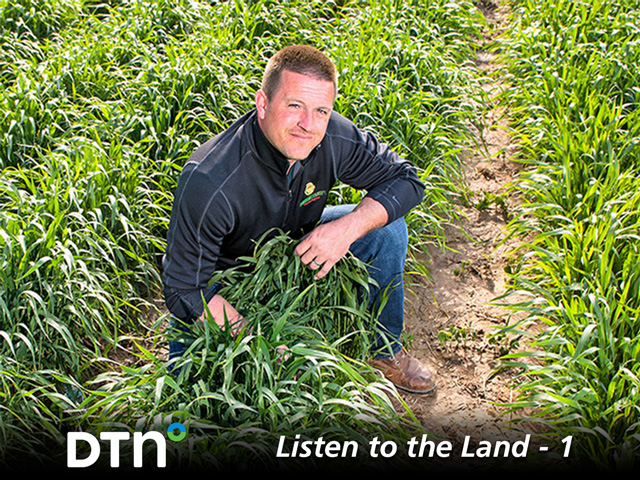 Jason Mauck watches his crop, interacts with it and keeps asking questions. (DTN/Progressive Farmer photo by Dave Charrlin)