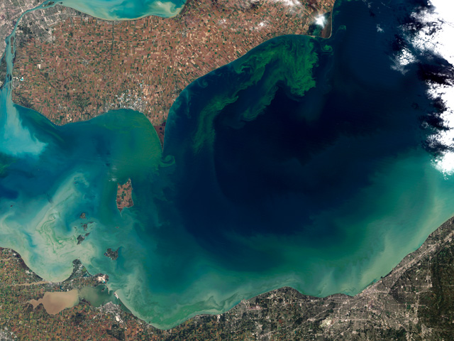 An environmental legal group&#039;s lawsuit is attempting to force the EPA to put western Lake Erie on a pollution diet, following years of algae blooms. (Photo by Jesse Allen and Robert Simmon; courtesy of Wikicommons) 