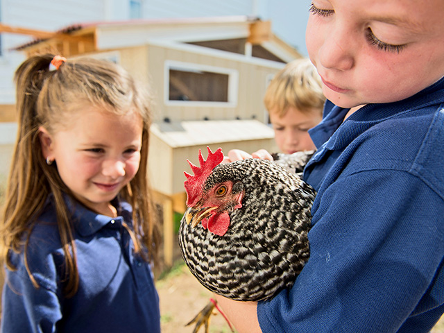 Across the country, kids are finding best friends sometimes come with feathers. (Progressive Farmer photo by Bill Denison)