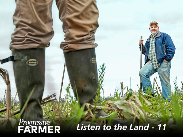 Robby Bevis uses cover crops to blanket his soil during the winter. They act as a defense against chemical injury and require no tilling. (DTN/Progressive Farmer photo by Benjamin Krain)