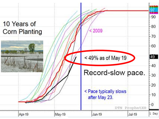 U.S. corn planting, at less than half complete, is the slowest since USDA started tracking progress. (DTN/USDA graphic)