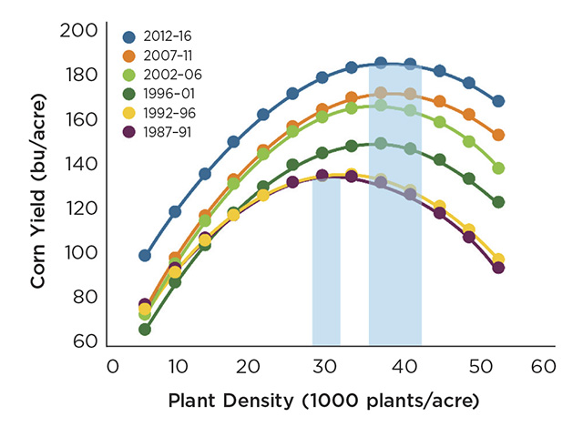 Analysis of Pioneer corn plant population studies indicates populations needed to optimize yields has increased steadily, Image by Pioneer