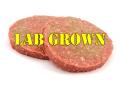 Several companies are investing more heavily in products that come from cattle or poultry cells that are then developed in a lab, Image provided by DTN