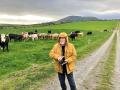 John Power is an Irish cattle producer, providing beef to a plant that makes patties for McDonaldâ€™s hamburgers, Image by Victoria G. Myers