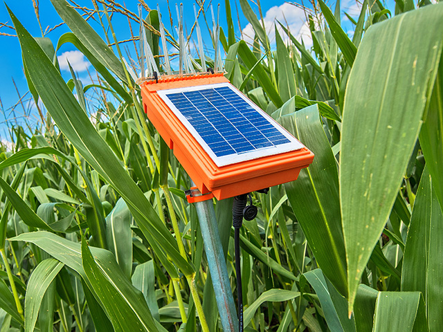 A single monitor per irrigation circle gives growers an accurate picture of soil moisture levels and makes the decision on when to water much more precise after heavy rains or periods of drought, Image by Fred Salley