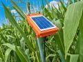 A single monitor per irrigation circle gives growers an accurate picture of soil moisture levels and makes the decision on when to water much more precise after heavy rains or periods of drought, Image by Fred Salley