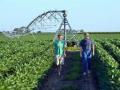 Ron Makovicka and his son, Brad, use soil moisture monitors to take the guesswork out of scheduling irrigation applications, Image by Jim Patrico