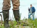 Robby Bevis uses cover crops to blanket his soil during the winter. They act as a defense against chemical injury and require no tilling, Image by Benjamin Krain
