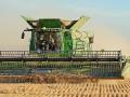 Phillip Gross, National Wheat Yield Contest multiple-year, high-yield winner, works in a field of hard red winter wheat, Image by Jim Patrico