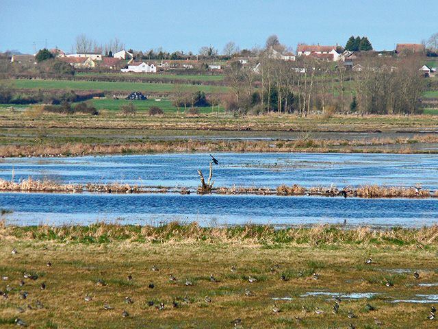 Agriculture and environmental groups both expressed concern about a USDA interim final rule on highly erodible land and wetland conservation, Image by Chris McKenna