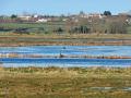 Agriculture and environmental groups both expressed concern about a USDA interim final rule on highly erodible land and wetland conservation, Image by Chris McKenna