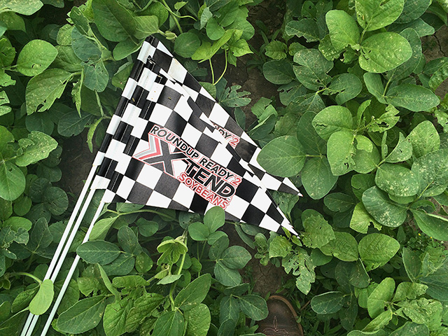 Soybean and cotton growers who want to use the over-the-top dicamba applications will have new labels to follow in 2019, Image by Pamela Smith