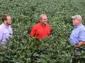 Arkansas farmer Matt Miles (right) and his son, Layne (left), work with consultant Robb Dedman (center) to navigate the winding row to consistent high soybean yields, Image by Charles Johnson