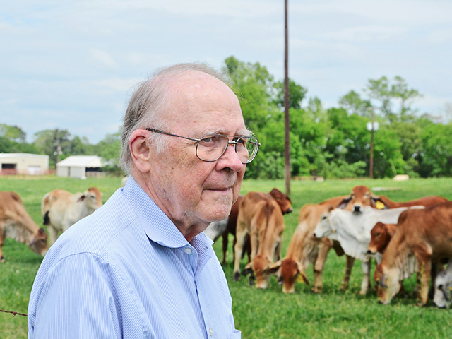 Ron Randel, Texas A&amp;M AgriLife research physiologist, is studying ways a cowâ€™s prenatal stress can affect gene expression in her calf, Image courtesy of Adam Russell, Texas A&amp;M University 