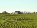 The IRS outlined rules on how to qualify for the Section 199A deduction, which includes several provisions favorable for farmers but could limit the deduction for landowners who arenâ€™t involved in farming operations, Image by Jim Patrico