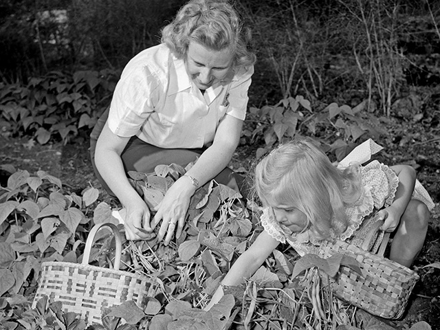 The Progressive Farmer is featuring photos this year from its vast archives. This photo was taken in 1951, Image by John McKinney