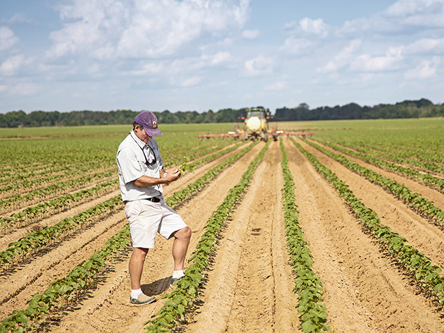 Ted Schneider says the cotton industry is taking a leadership position in sustainability, knowing it will help protect against future production challenges, Image by Debra Ferguson