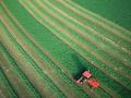 Image Courtesy of DuPont Pioneer
