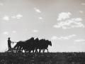 The Progressive Farmer is featuring photos this year from its vast archives. This photo appeared in our April 1939 issue, Image J.W. McManigal Agricultural Photographs / The Progressive Farmer Archives 