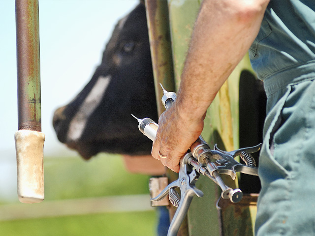 Always read the label, and if things still aren&#039;t clear, call the manufacturer or your herd veterinarian. (Progressive Farmer image by Jim Patrico)