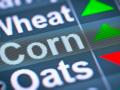 Blockchain is the latest digital innovation or disrupter changing agricultural transactions, Image by Getty Images