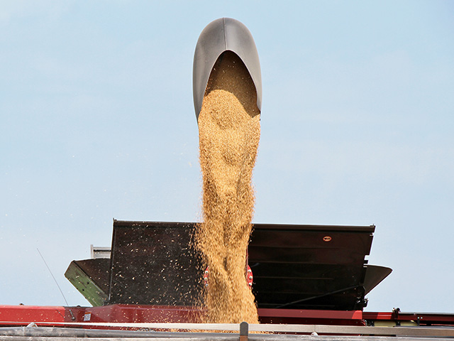 Japanâ€™s new trade pacts with Europe and the Trans-Pacific Partnership means U.S. trade negotiators will need to harvest new markets for Americaâ€™s wheat farmer, Image by Pamela Smith