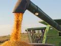 Farmers may see bigger tax savings giving grain rather than money to charitable organizations, Image by Jim Patrico