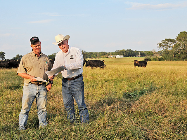 Cattleman Scotty Lovett (left) and Ashby Green, regional representative, Neogen GeneSeek, sampled 59 heifers from the herd to see which would be the best replacements, Image by Becky Mills