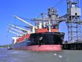 Shipments of organic feed and other products have risen in recent years, but a USDA audit shows there are few controls at ports to verify claims those products were grown using organic standards, Image by Mary Kennedy
